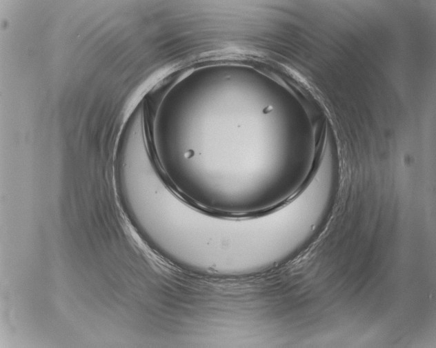 X0000057081418200509091236