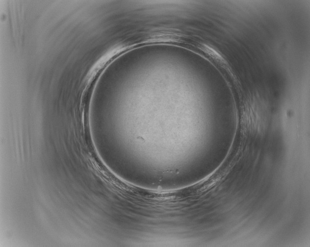 X0000057081419200509091236