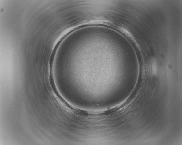 X0000057081420200509091236