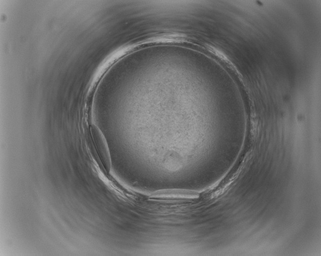 X0000057081421200509091236