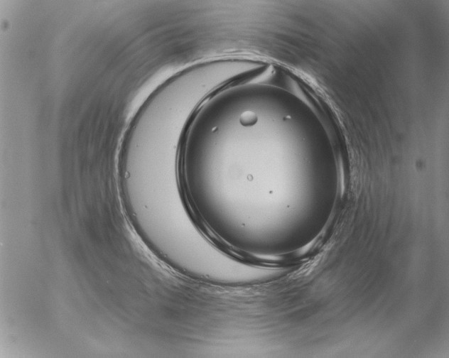 X0000057081422200509091236