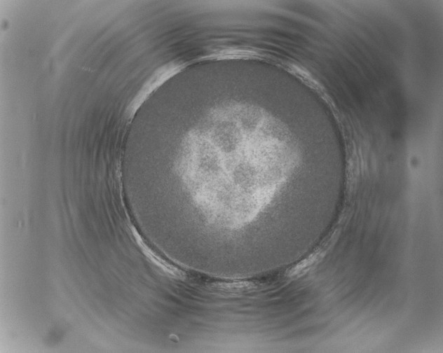 X0000057081425200509091236