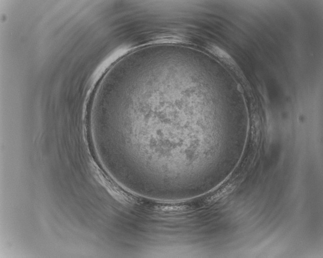 X0000057081427200509091236