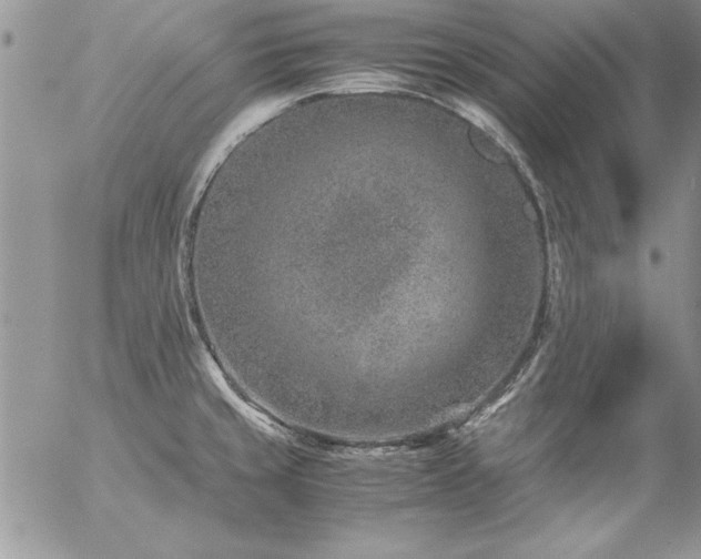 X0000057081429200509091236