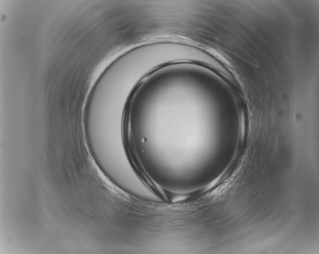 X0000057081430200509091236