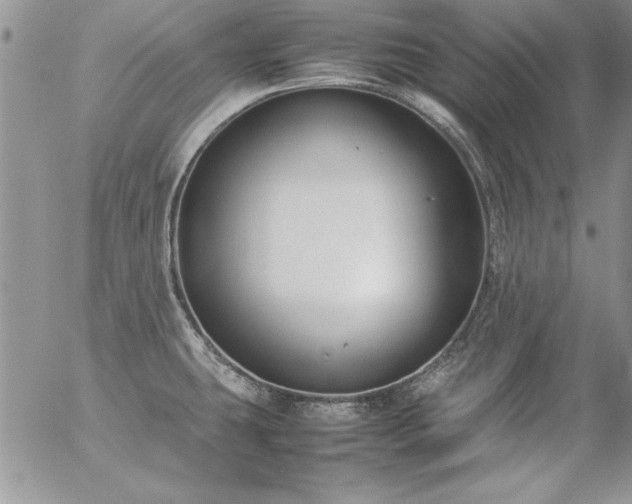 X0000057081431200509091236