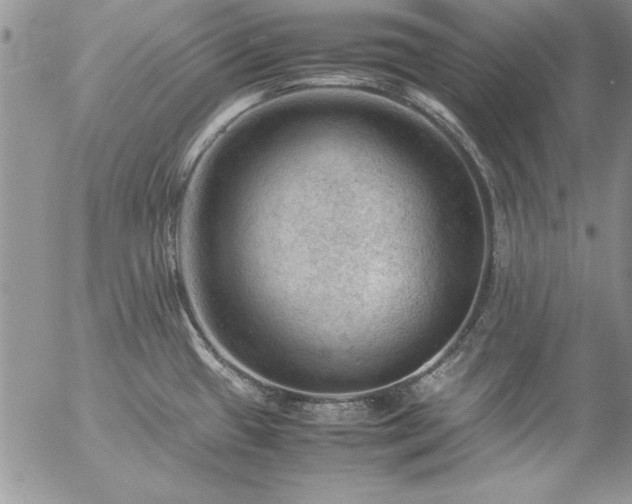 X0000057081433200509091236