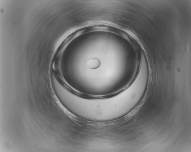 X0000057081438200509091236