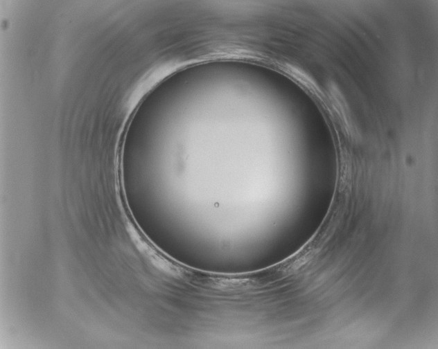 X0000057081439200509091237