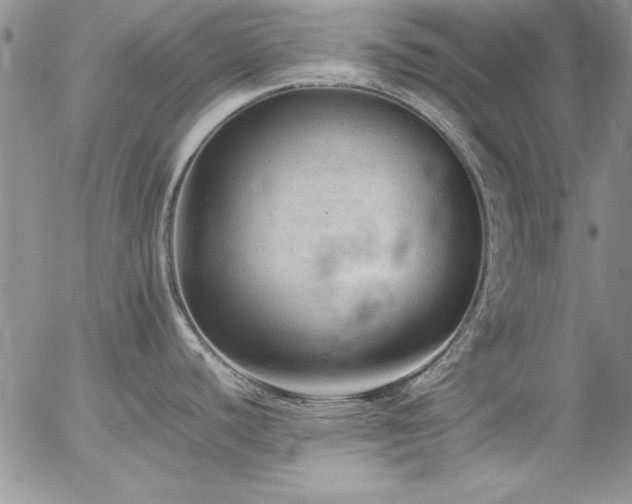 X0000057081440200509091237