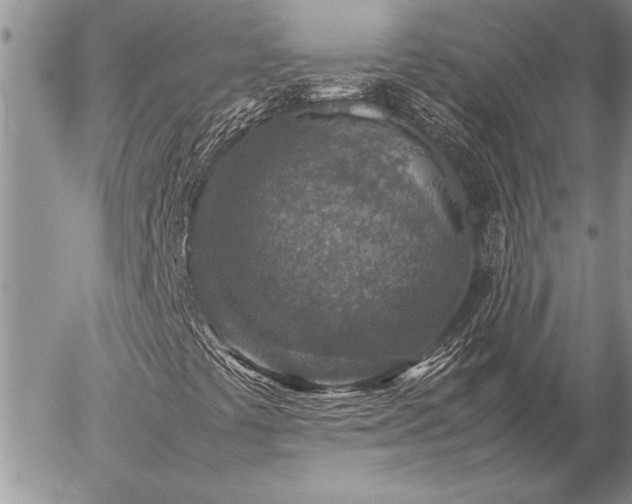 X0000057081441200509091236