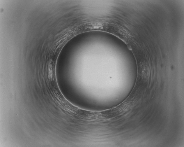 X0000057081442200509091236