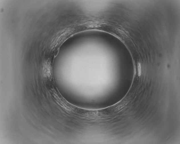 X0000057081444200509091236