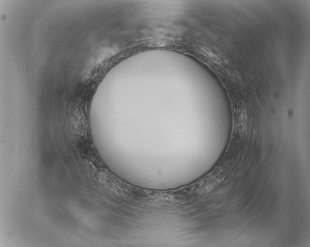 X0000057081446200509091236