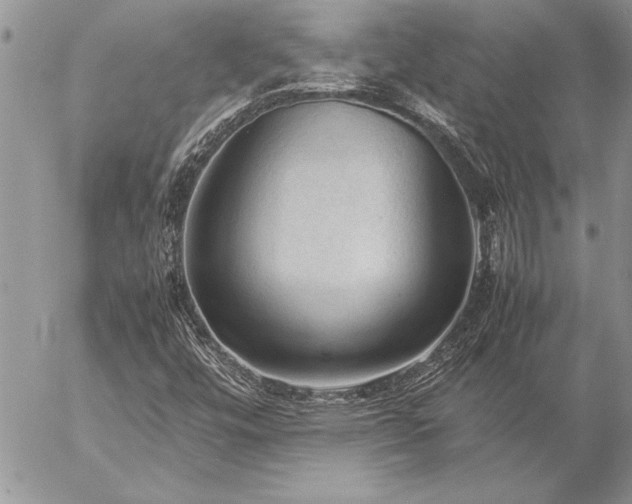 X0000057081448200509091236