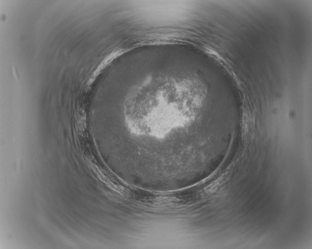 X0000057081449200509091236