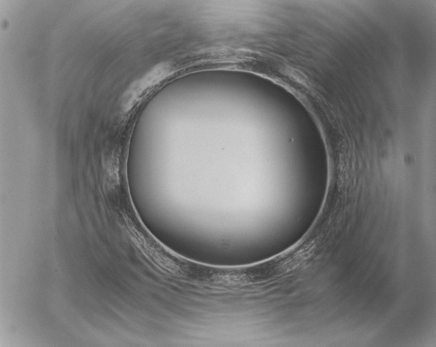 X0000057081451200509091236