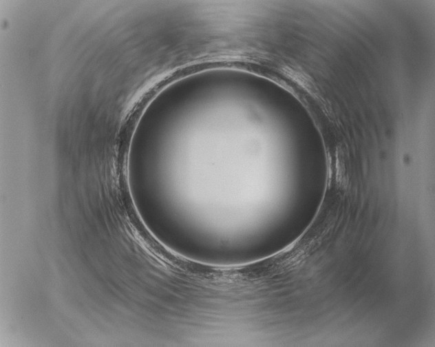 X0000057081452200509091236