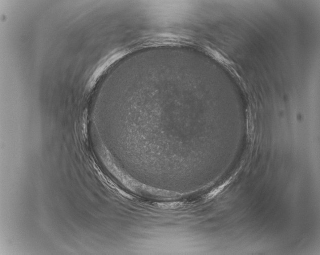 X0000057081453200509091236