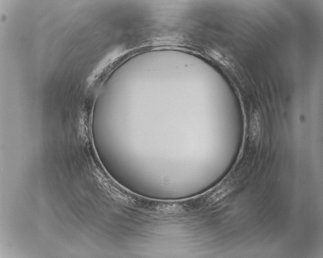 X0000057081454200509091236