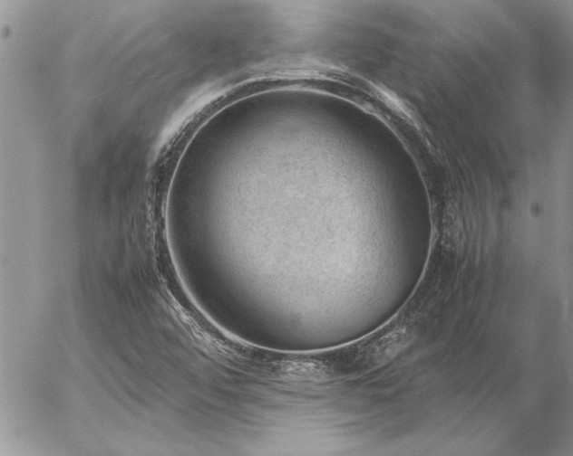 X0000057081456200509091235