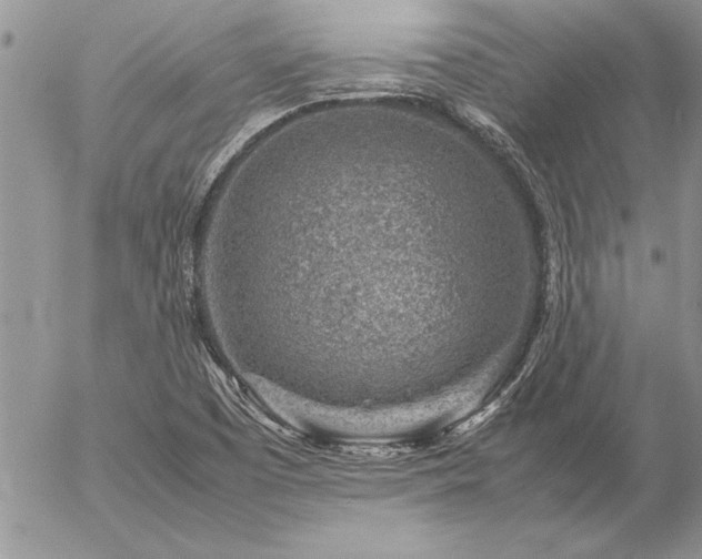 X0000057081457200509091235