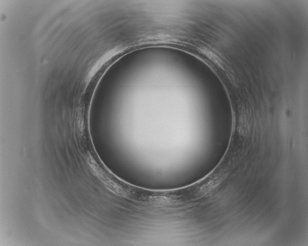 X0000057081458200509091235