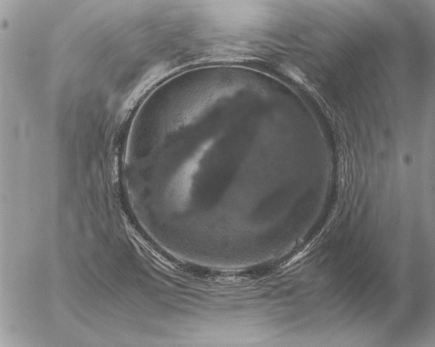 X0000057081459200509091235