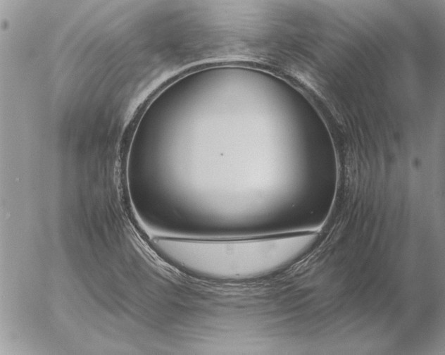 X0000057081460200509091235