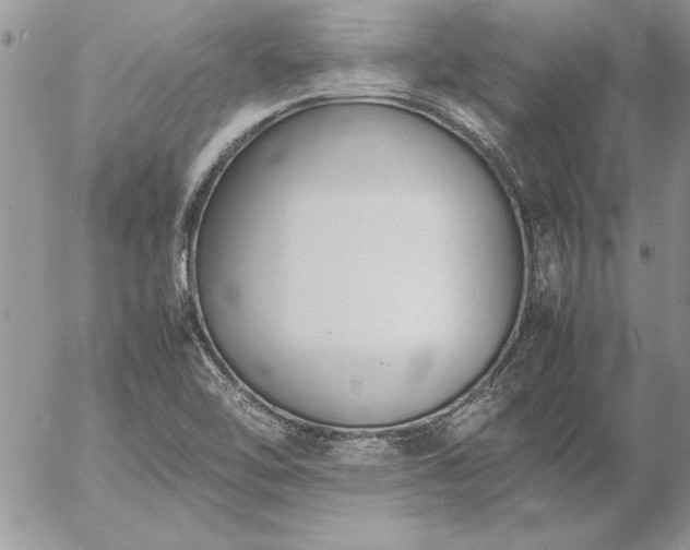 X0000057081462200509091235