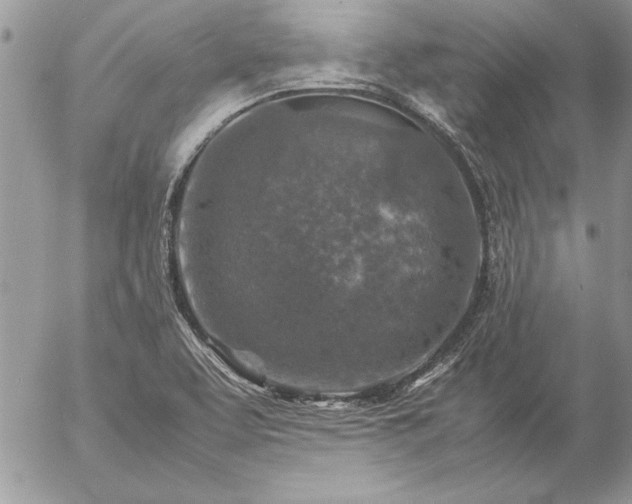 X0000057081463200509091235