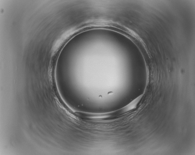 X0000057081464200509091235