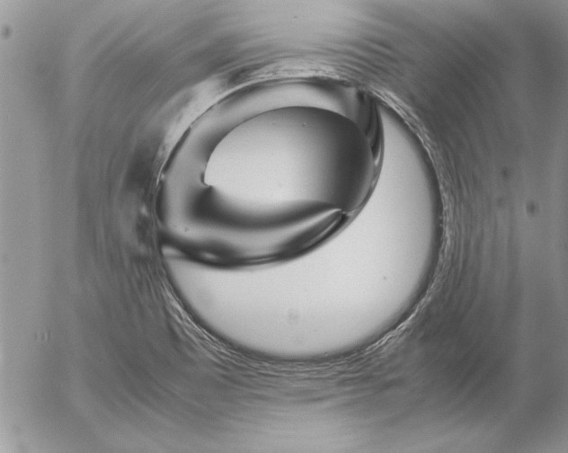 X0000057081465200509091235