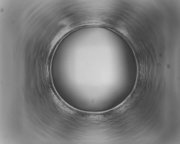 X0000057081466200509091235