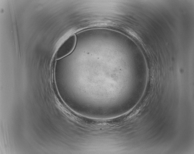 X0000057081467200509091235