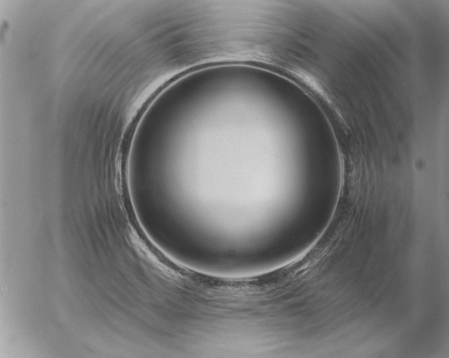 X0000057081468200509091235