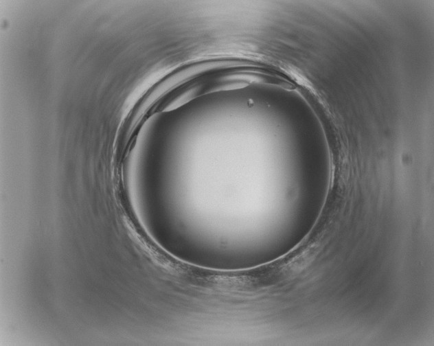 X0000057081469200509091235