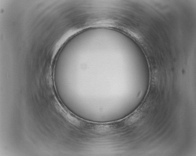 X0000057081470200509091235