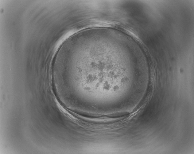 X0000057081471200509091235