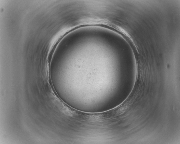 X0000057081472200509091235