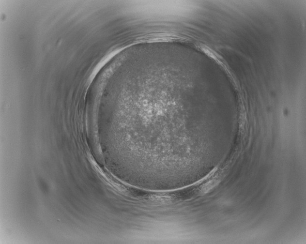 X0000057081473200509091235