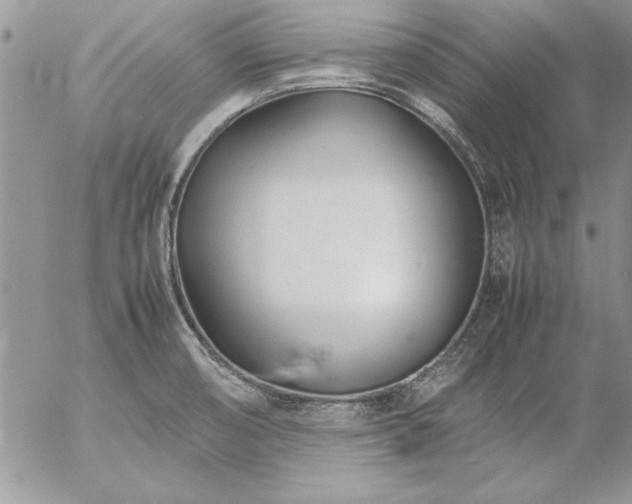 X0000057081474200509091235