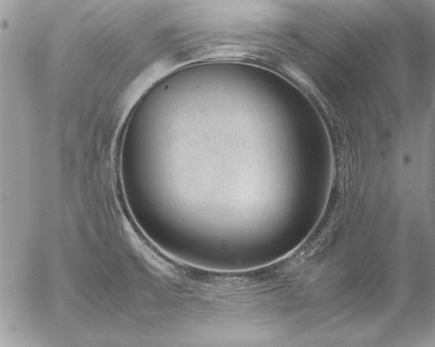 X0000057081475200509091235