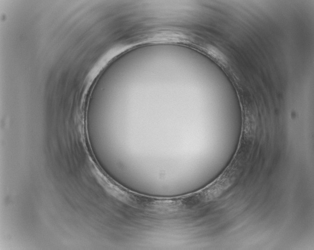 X0000057081478200509091235