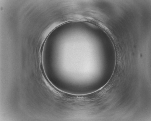 X0000057081479200509091235