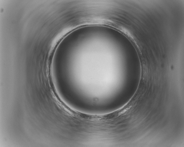 X0000057081480200509091235