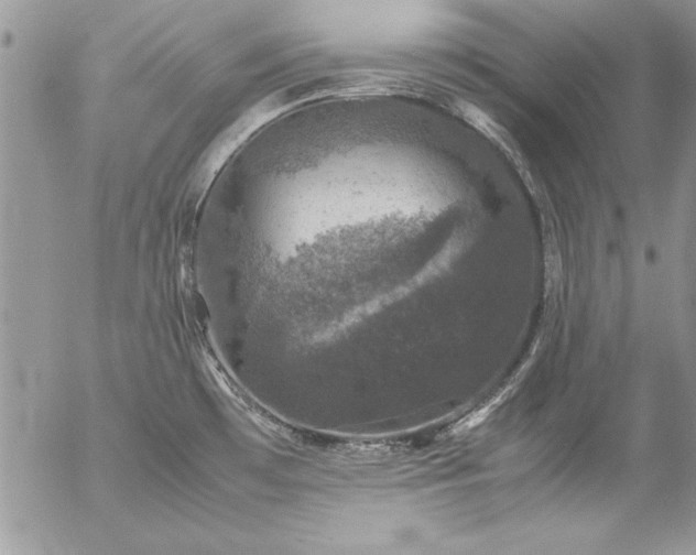 X0000057081481200509091235