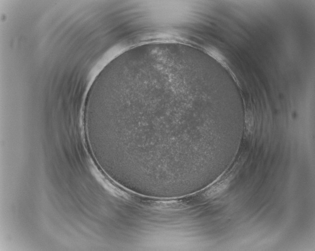 X0000057081482200509091235