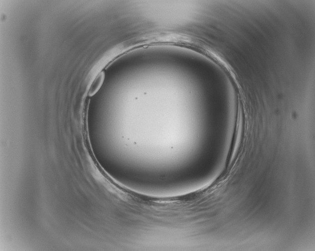 X0000057081483200509091235