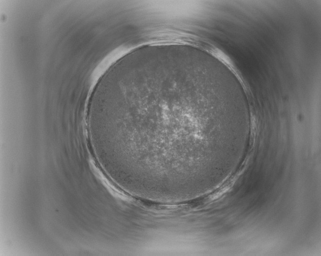 X0000057081485200509091235